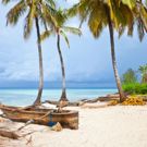 Zanzibar aan het strand Zanzibar week 