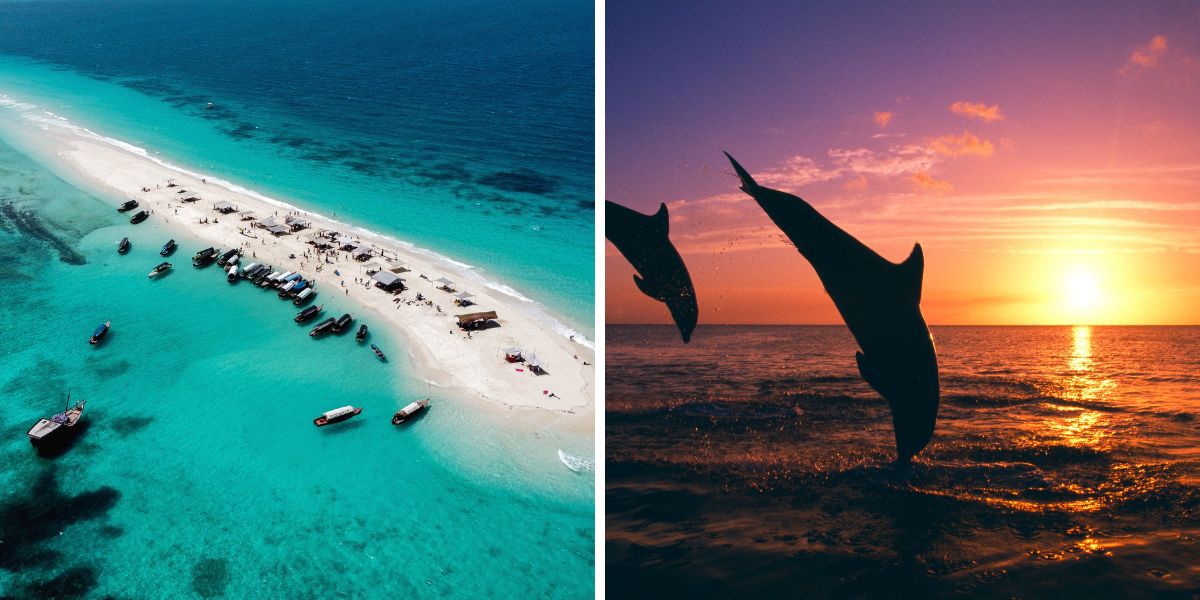 Prison island of safari blue