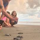 Zee schildpadden project Costa Rica groep foto maken van de schildpadden